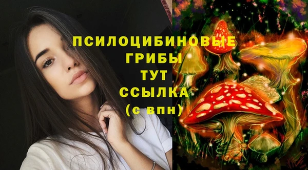 ГАЛЛЮЦИНОГЕННЫЕ ГРИБЫ Алексеевка