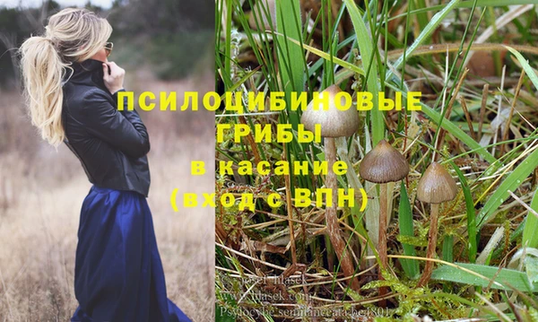 героин Алзамай