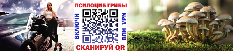 Псилоцибиновые грибы мицелий Кола